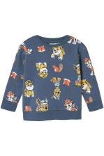 NMMSUG PAWPATROL NREG SWEAT BRU CPLG