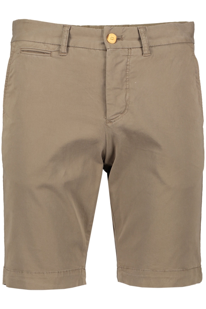 Regular Chino Shorts