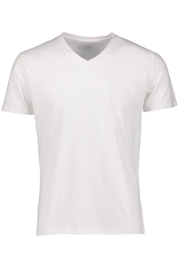 AP T-Shirt V-Neck 2100